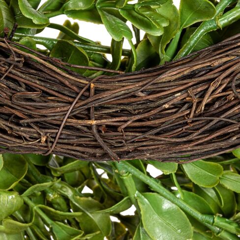 Creative Co-Op Faux Boxwood Wreath in Saudi Arabia