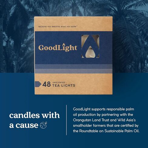GoodLight Paraffin-Free Tea Light Candles, Made from Vegan Palm Wax, Clean-Burning, All-Natural Unscented Tealight Candles, 4-Hour Burn Time 100 CT in Kuwait