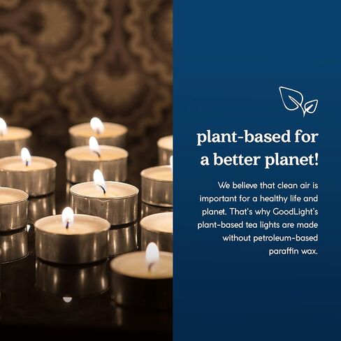 GoodLight Paraffin-Free Tea Light Candles, Made from Vegan Palm Wax, Clean-Burning, All-Natural Unscented Tealight Candles, 4-Hour Burn Time 100 CT in Kuwait