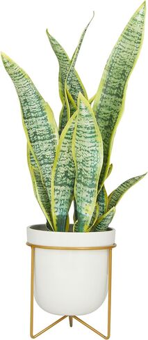 Deco 79 The Novogratz Faux Foliage Snake Artificial Plant with Realistic Leaves and White Porcelain Pot and Gold Stand, 14" x 13" x 25", Green in Saudi Arabia