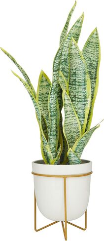Deco 79 The Novogratz Faux Foliage Snake Artificial Plant with Realistic Leaves and White Porcelain Pot and Gold Stand, 14" x 13" x 25", Green in Saudi Arabia