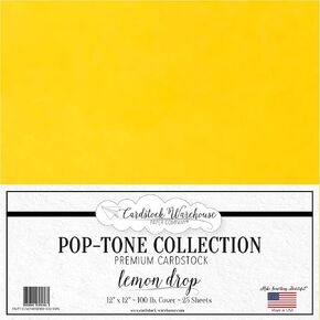 Cardstock Warehouse Pop Tone Blu Raspberry Teal Matte Premium Cardstock Paper - 12 x 12" - 100 Lb. / 270 Gsm - 25 Sheets