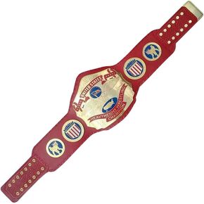New Replica NWA United States Champion Belt Adult Size, Metal Plates & Bag