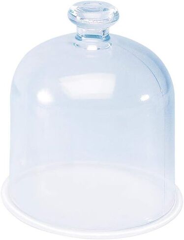 3B Scientific U21851 Vacuum Bell Jar in Saudi Arabia