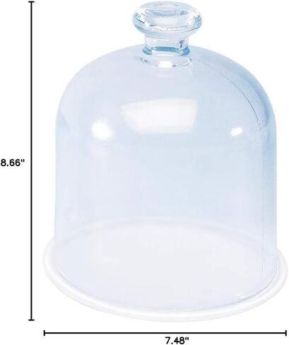 3B Scientific U21851 Vacuum Bell Jar in Saudi Arabia