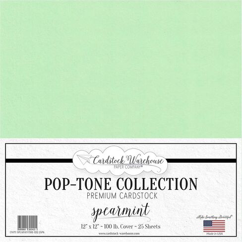 Cardstock Warehouse Pop Tone Blu Raspberry Teal Matte Premium Cardstock Paper - 12 x 12" - 100 Lb. / 270 Gsm - 25 Sheets in Saudi Arabia