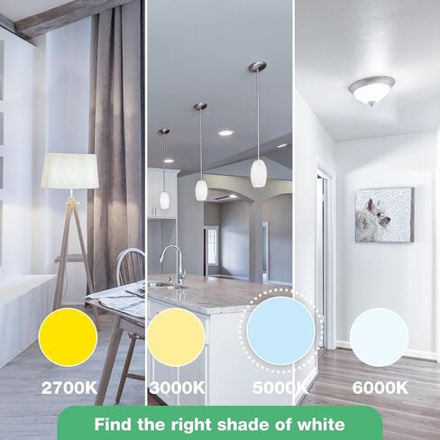 LED Light Bulbs Daylight 5000K, 60 Watt Equivalent LED Bulbs, A19 Standard Bulbs, 800 LM, 15000 Hours, E26 Base, Non-Dimmable, 8.5W LED Bulbs for Bedroom Living Room 24 Pack in Saudi Arabia