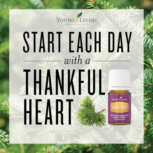 Young Living Gratitude Premium Essential Oil Blend - Aromatherapy for Thankfulness and Positivity - Uplifting Grand Fir and Frankincense Aroma - 5 ml Bottle in Kuwait