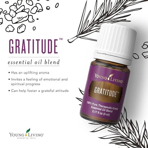 Young Living Gratitude Premium Essential Oil Blend - Aromatherapy for Thankfulness and Positivity - Uplifting Grand Fir and Frankincense Aroma - 5 ml Bottle in Kuwait