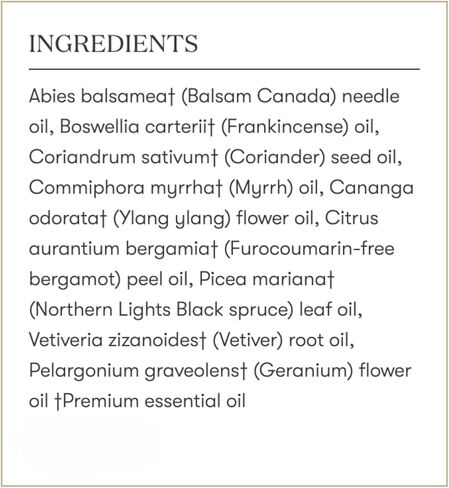 Young Living Gratitude Premium Essential Oil Blend - Aromatherapy for Thankfulness and Positivity - Uplifting Grand Fir and Frankincense Aroma - 5 ml Bottle in Kuwait
