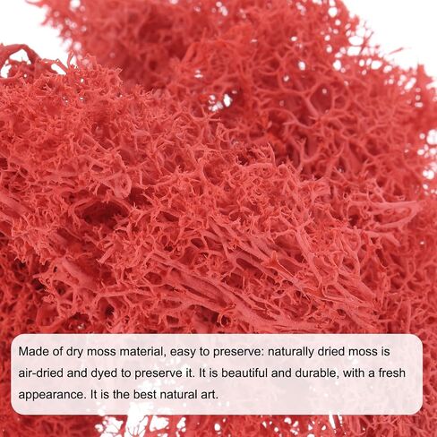 MECCANIXITY 0.35 OZ Moss Fake Craft Moss Artificial Moss Natural Preserved Moss for Craft Arts Floral DIY Project Wall Wedding Garden Patio Table Terrariums Decoration(Green) in Saudi Arabia
