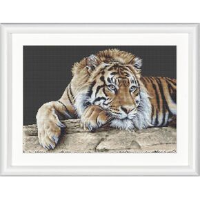 Thea Gouverneur - Counted Cross Stitch Kit - Tiger - Aida - 14 Count - for Adults - 579A in Kuwait