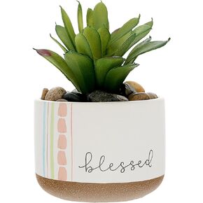 Pavilion Gift Company - Blessed - Artificial Plant with Stones, Mini Fake Succulent Plant, Potted Plant for Table Desk Home Bathroom Office Décor, 1 Count