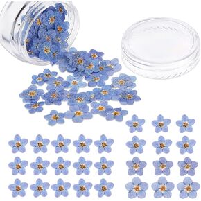 Natural Forget-Me-Not Dried Flowers Don't Forget Me Dried Flower Real Dried Pressed Flowers for Jewelry Candle Card Making DIY Resin Ornaments Nail Art Flowers Decorations(50 Pieces)