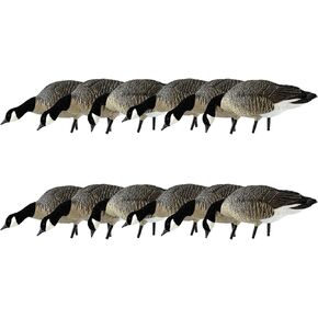 Avian-X Painted Feeder Lesser Goose Decoys 6 Pack