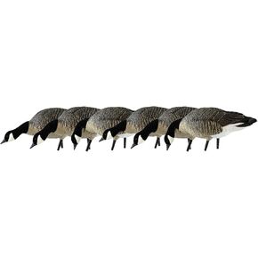 Avian-X Painted Feeder Lesser Goose Decoys 6 Pack