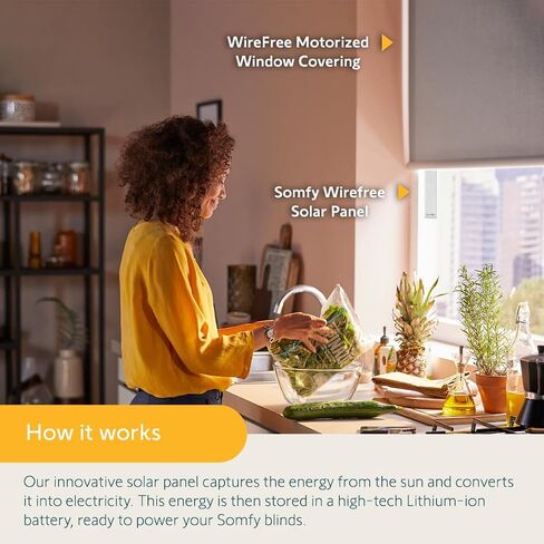 Somfy Wirefree Li-ion Solar Panel Kit - Solar Panel Power - for Somfy RTS Motorized Shades, Blinds and Curtains - Long Lasting, Easy to Install - Includes Brackets, and Glass Mount Adhesive #9027294 in Saudi Arabia