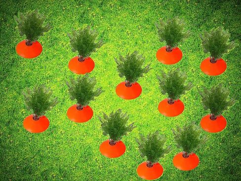 tyoungg Easter Yard Carrots Patch Large Spring Lawn Garden Yard Decor DIY 12 Sets (12) in Saudi Arabia