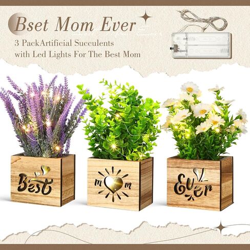 XunYee 3 Packs Artificial Eucalyptus Potted Plant with LED Lights Fake Eucalyptus Lavender Rosemary Plants Indoor Decorations with Wooden Pots Best Mom Ever Gifts for Mom Home Office Farmhouse Decor in Saudi Arabia