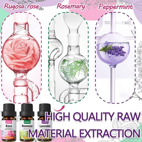 Rose Essential Oil Organic,Moisturizing Long Lasting Quickly Absorbed Lavender Rose Oil Rosemary Essential Oil Set for Face,Hair Care,Skin,Aromatherapy,Massage & Diffuser（3PCS） in Saudi Arabia