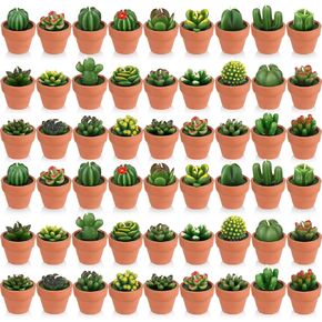 60 Pcs Succulent Candles Cactus Candles with Terracotta Pot Mini Baby Shower Plant Candles Novelty Handmade Tealight Terrarium Plant Candles Bulk for Party Favor Fiesta Birthday Wedding Home Decor