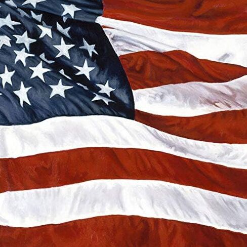 July 4th Disposable Paper Party Napkins, American Patriotic Flag, Dinner Size, 75-Count by Iconikal in Saudi Arabia