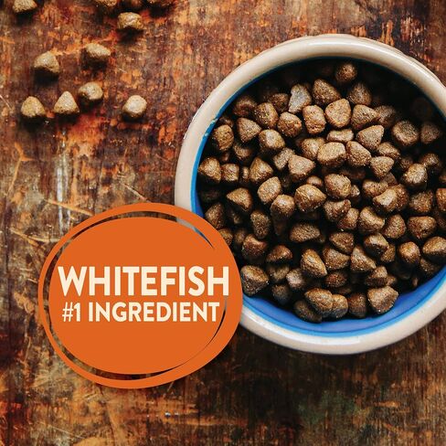 Wellness CORE Grain-Free High-Protein Dry Dog Food, Natural Ingredients, Made in USA with Real Meat, All Breeds, For Adult Dogs (Reduced Fat, 4-Pound Bag) in Kuwait