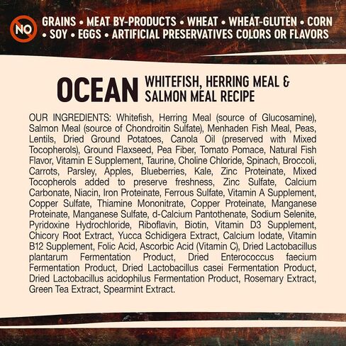 Wellness CORE Grain-Free High-Protein Dry Dog Food, Natural Ingredients, Made in USA with Real Meat, All Breeds, For Adult Dogs (Reduced Fat, 4-Pound Bag) in Kuwait