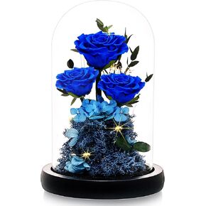DENIMOMO Valentines Day Rose Flowers Gifts for Her,Forever Preserved Roses in Glass Dome, Anniversary Birthday Real Roses Gifts for Women Wife Mom Girlfrien/Purple