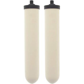 Doulton W9123053 UltraCarb 10 Inch Ceramic Candle Filter Cartridge (2 PACK)