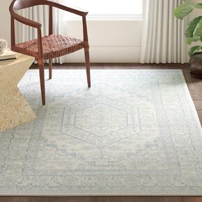 SAFAVIEH Adirondack Collection Accent Rug - 4' x 6', Ivory & Slate, Oriental Medallion Design, Non-Shedding & Easy Care, Ideal for High Traffic Areas in Entryway, Living Room, Bedroom (ADR108S)