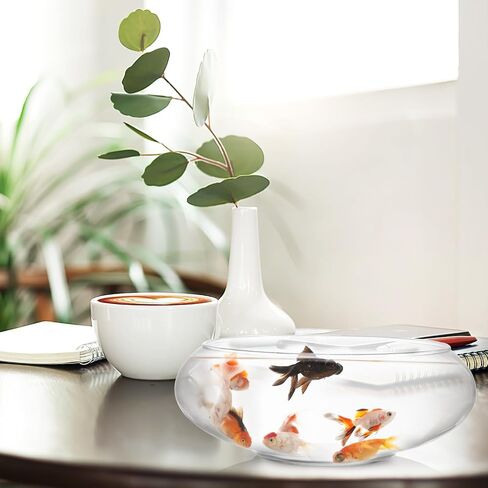 Happyyami 2 حزمة وعاء زجاجي مزهرية 6 "/ 8" زجاج وعاء السمك الزجاجي زارع المائية حاوية الزهور واضحة وعاء فقاعة العائمة شمعة وعاء الزجاج وعاء مستدير Terrarium لحدث الزفاف ديكور المنزل in Kuwait