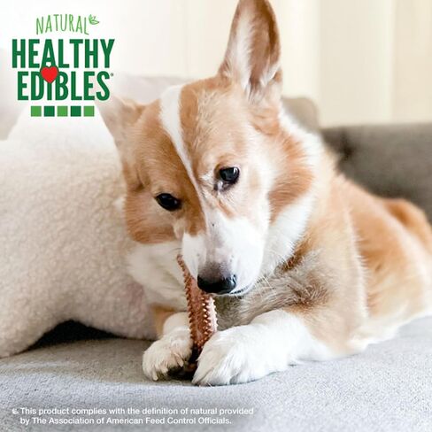 Nylabone Healthy Edibles Meaty Center مكافآت طبيعية للكلاب - مكافآت ذات مكونات محدودة للكلاب الصغيرة - نكهة لحم البقر، صغيرة (4 قطع) in Kuwait