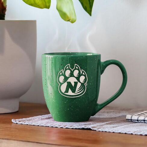 Rico Industries NCAA unisex-adult Ceramic Mug in Saudi Arabia