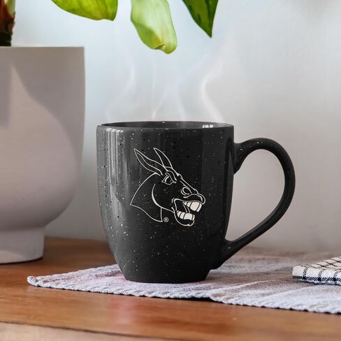Rico Industries NCAA unisex-adult Ceramic Mug in Saudi Arabia