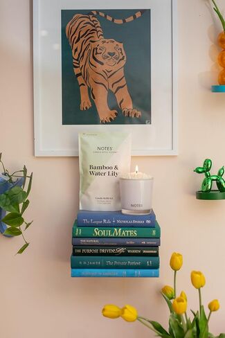 نوتس مجموعة الشموع المستدامة | عطر غير سام، وخرز شمع طبيعي، وفتيل، وقرص مركزي قابل لإعادة الاستخدام، وقرص تنظيف، وشاي الكركم واليقطين الصديق للبيئة القابل لإعادة التعبئة + الفانيليا وخشب الفلفل. in Kuwait