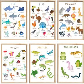 6 Pieces Laminated Educational Preschool Posters for Toddlers,Educational Wall Charts,School classroom Posters,Class decorations for Kindergarten- FISH,BIRDS，MAMMALS，INSECTS,REPTILES，AMPHIBIANS.(No in Kuwait