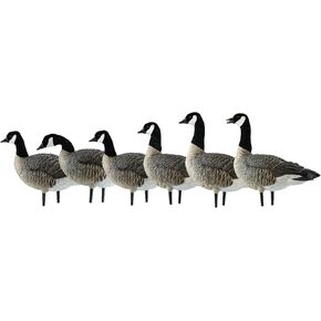 Avian-X Painted Active Lesser Goose Decoys 6 Pack, One Size, (AVX9008)