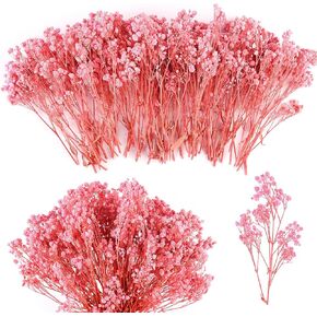 70Pcs Mini Dried Baby's Breath Flowers 4000+Natural Ivory White Bulk Flowers Real Flowers Pressing Floral Dried Flowers Pressed Gypsophila Bouquet for Hair Accessory Wedding Card Making