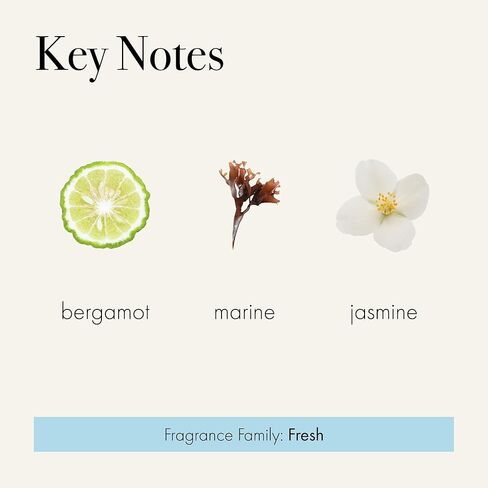 LAFCO New York Reed Diffuser Refill, Amber Black Vanilla - 8.4 oz - Up to 4-Month Fragrance Life - Includes Natural Wood Reeds - Free of Dyes & Propellants - Made in The USA in Kuwait