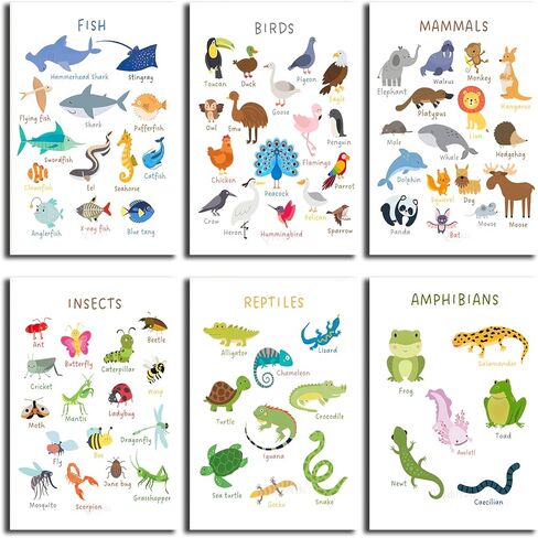 6 Pieces Laminated Educational Preschool Posters for Toddlers,Educational Wall Charts,School classroom Posters,Class decorations for Kindergarten- FISH,BIRDS，MAMMALS，INSECTS,REPTILES，AMPHIBIANS.(No in Kuwait
