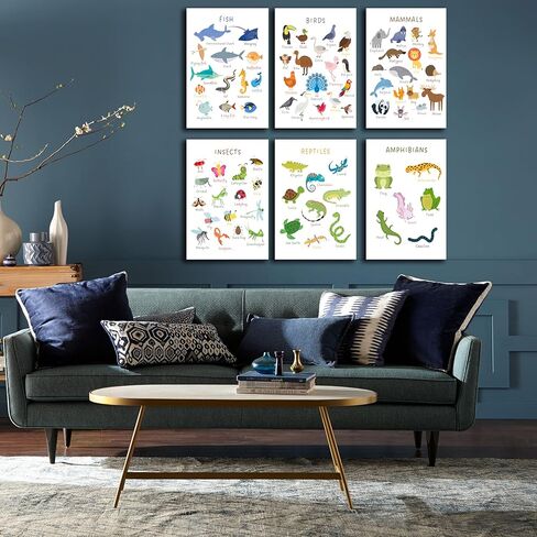 6 Pieces Laminated Educational Preschool Posters for Toddlers,Educational Wall Charts,School classroom Posters,Class decorations for Kindergarten- FISH,BIRDS，MAMMALS，INSECTS,REPTILES，AMPHIBIANS.(No in Kuwait