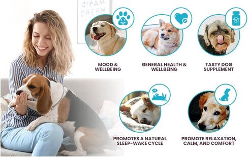 K9 Select Milk Thistle للكلاب، 100 مجم - 60 كبسولة - وظيفة الكبد الصحية للكلاب in Kuwait