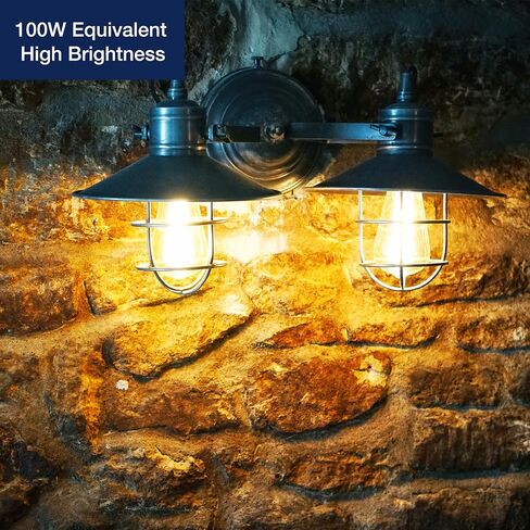 FLSNT 100W Equivalent LED Edison Bulbs, ST19/ST58 Dimmable LED Light Bulbs for Dining Room, Kitchen, High Brightness with 1000LM, 2700K Soft White, 8W, E26 Base, 6 Pack in Saudi Arabia
