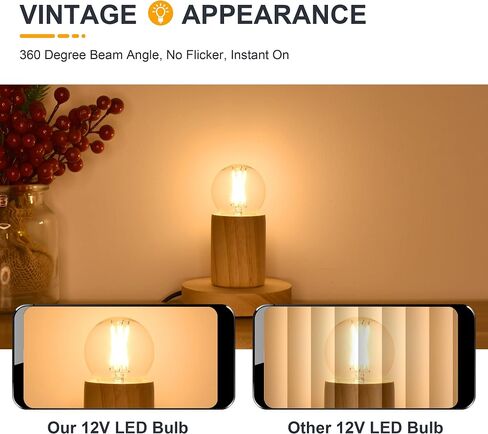 12 Volt Low Voltage LED Light Bulbs - Soft Warm 2700K 2W (Only for 12V DC/AC)- 25W Equivalent E26 Edison Base Small Globe Bulb for RV, Landscape Lights - 3 Pack in Kuwait