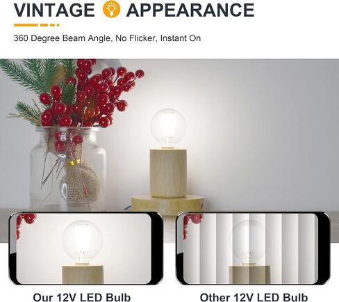 12 Volt Low Voltage LED Light Bulbs - Soft Warm 2700K 2W (Only for 12V DC/AC)- 25W Equivalent E26 Edison Base Small Globe Bulb for RV, Landscape Lights - 3 Pack in Kuwait
