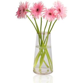 Glass Vase with Gold Mouth, Large Clear Glass Vase for Flowers Modern Flower Vases for Living Room, Bedroom, Dining Table, Office, Wedding Decoration, Home Decor(Large)