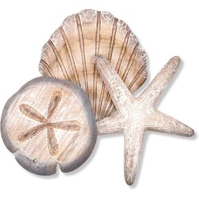 T.I. Design Shell Collection (Starfish, Scallop, and Sand Dollar)