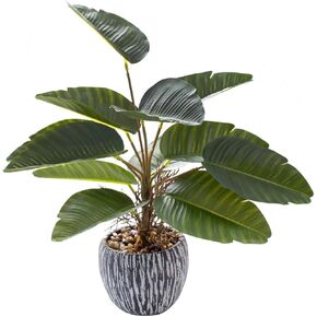 AlphaAcc 16 inch Artificial Indoor Plants Office Desk Faux Plant Peperomia Leaf Ficus Plant Realistic Small Fake Farmhouse Plants for Home Kitchen Bathroom Bedroom Evergreen Decor