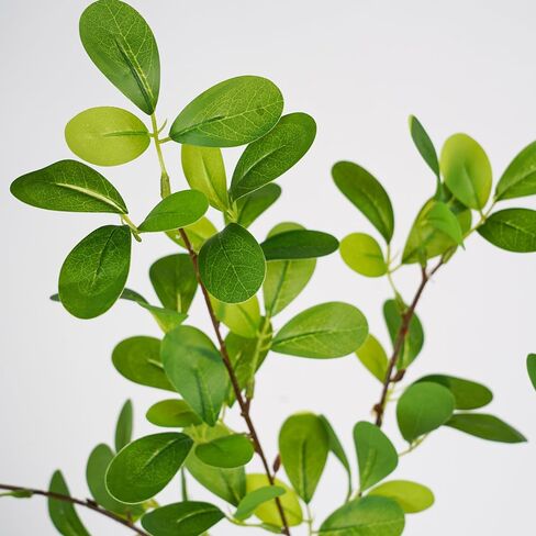 نباتات صناعية، 5 قطع من فروع الصفصاف القابلة للانحناء للمزهرية، 5 قطع من فروع الصفصاف القابلة للانحناء للمزهرية، أعواد أغصان وهمية خضراء لديكور المزهرية، فروع صناعية للنباتات المزيفة لتزيين المنزل في المزرعة والفندق in Kuwait